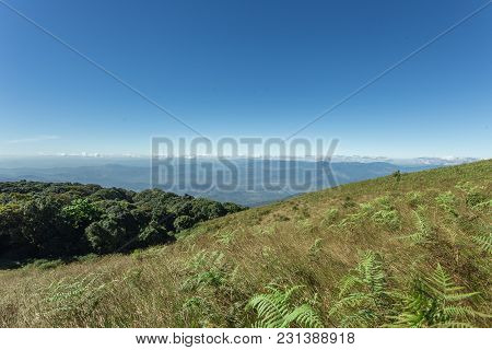 Kew Mae Pan Nature Trail , Chiangmai Thailand