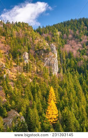 Mountain Landscape In Autumn Season, The Vratna Valley At The National Park Mala Fatra, Slovakia, Eu