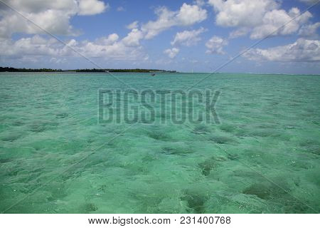 Sea Escape In Fresh Morning Blue Marine