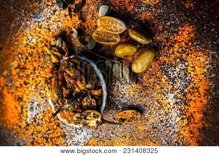 Popular Indian Squash Pickle Or Tinda Nu Athnu Or Achar In A Glass Plat With All Its Ingredients And