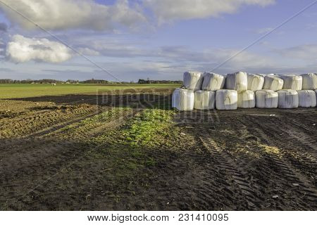 Stacked Like A Pyramid,round Bales Of Hay And Silage Wrapped In A White Membrane.food For Cows  Is S
