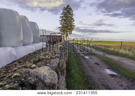 Stacked Like A Pyramid, Round Bales Of Hay And Silage Wrapped In A White Membrane. Food For Cows   .