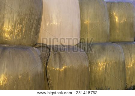 Stacked Like A Pyramid,round Bales Of Hay And Silage Wrapped In A White Membrane.food For Cows  Is S