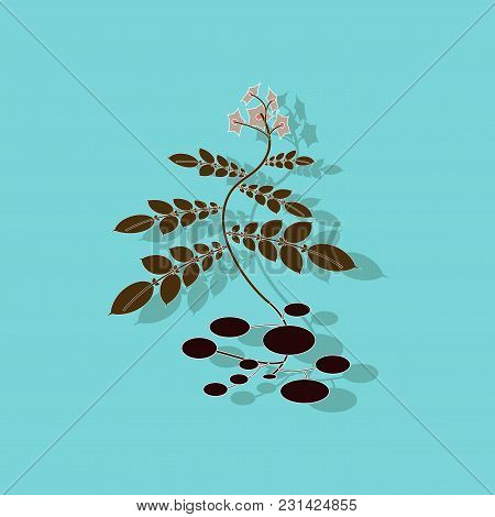 Paper Sticker On Stylish Background Of Plant Solanum
