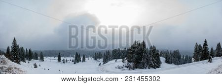Panorama Of The Famous Mountain Igman In Bosnia And Herzegovina