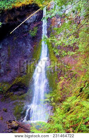 Marymere Waterfall Surrounded By A Bluff Covered In Moss At A Temperate Pine Forest Taken In Olympic