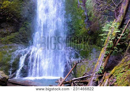 Marymere Waterfall Surrounded By A Bluff And Pine Trees Taken In Olympic National Park, Ca