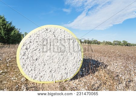 Close-up Cotton Bales On Harvested Field In Texas, Usa