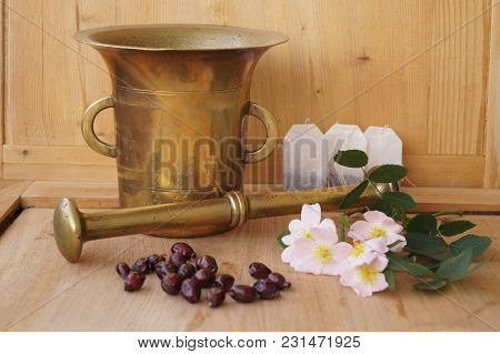 Medicinal Plants - Eglantine - Flowers, Fruits