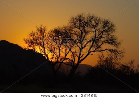 Zonsondergang In Wild Afrika