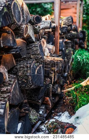 Old Pile With Moss And Firewood. Close Up