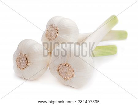 Young Garic Vegetable Isolated On White Background