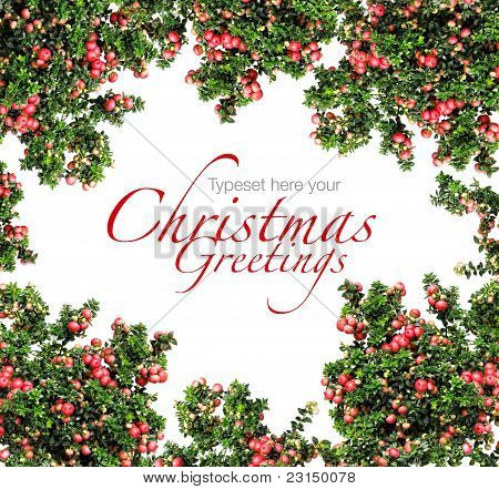 Rote Beeren Christmas Garland