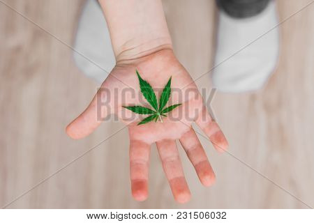 Smiling Kid Child Holding A Hemp Leaf. Concepts Of Using Marihuna For Medicinal Purposes For Childre