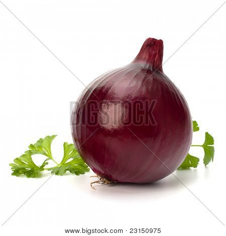 Rote Zwiebel-Knolle und frische Petersilie, isolated on white background