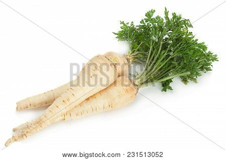 Parsnip Root With Leaf Isolated On White Background