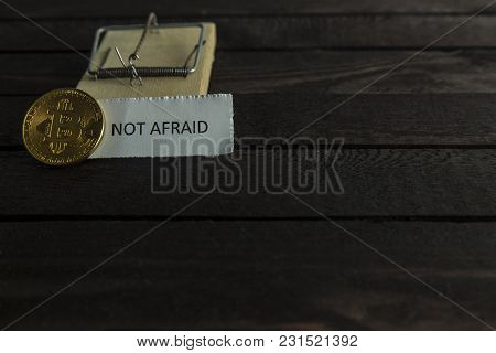 Mouse Trap, Frontside Of Bitcoin And The Word Not Afraid