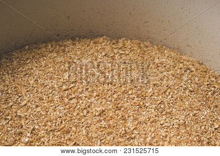 Grinded Grains Of Barley Malt Close-up. Craft Beer Brewing From Grain Barley Pale Malt In Process. A
