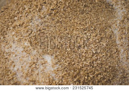 Mashing Of Milled Malt Grains Into Heated Water To Prepare Wort. Craft Beer Brewing From Grain Barle