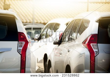 Many White Car Stop In Parking Lot Outdoor On Day.