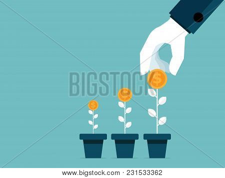 Illustration Of Human Hand Take Money Coins From Growth Tree Flat Design