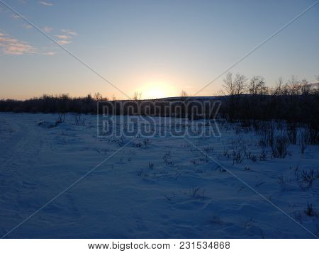 Frozen Trees In Winter Lappland