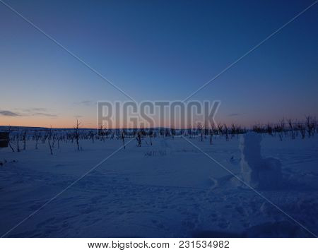 Frozen Trees In Winter Lappland