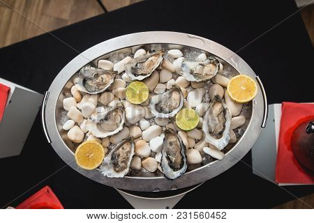 Fresh Oyster Served On White Stones On A Tray. Look From Above