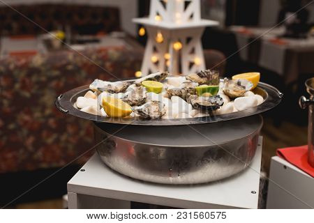 Fresh Oyster Served On White Stones On A Tray In A Restaurant