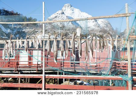Lofoten Islands, Norway Fishing Town Historic On The Water