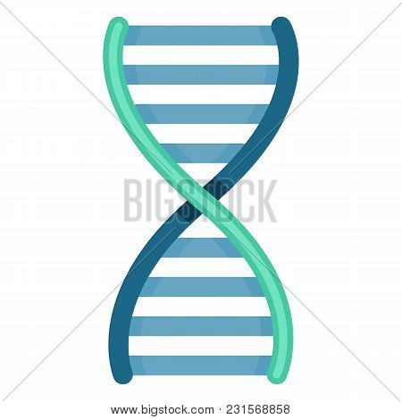 Vector Color Dna Icon. Deoxyribonucleic Acid Symbol