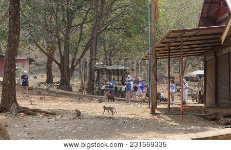 Kanchanaburi,thailand- February 19,2018: Tourists Feed Pigs And Monkeys At The Temple Wat Trai Ratta
