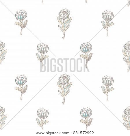 Protea Flower Seamless Vector Pattern. Simple Floral Background.