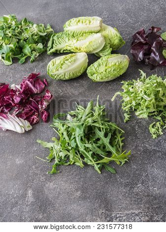 Various Types Of Salad Leaves  On A Grey Background. Little Gem Lettuce, Corn Lettuce, Arugula, Frie