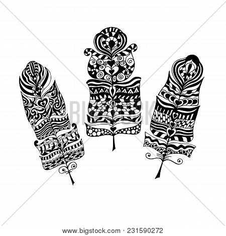 Set Of Ethnic Zentangle Tribal Feathers. Vector Illustratoin. Cute Zentangle Feather For Your Design