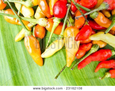 Chilipebre i Banan blad
