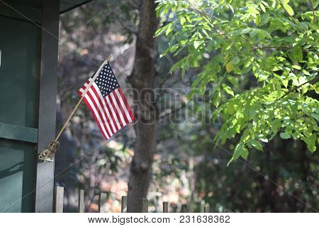 United States Flag In The Forrest July