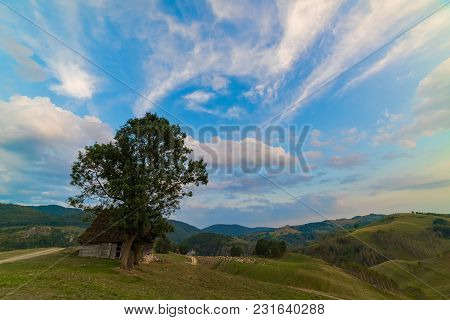 Beautiful Mountain Landscape With And Old House, Trees And A Cloudy Morning Sky, Dumesti, Salciua, A
