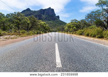 Road Leading To The Grampians Mountains Lined By Trees, Victoria, Australia