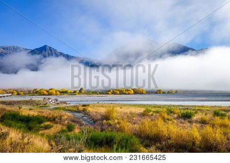 Yellow Forest And River In New Zealand Alps