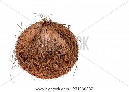 Tropical Fruit Coconut Isolated On White Background.