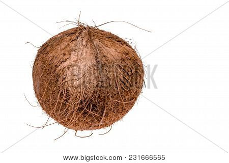 Tropical Fruit Coconut Isolated On White Background.