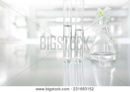 White Orchid Flower On Glass Flask And Test Tube In Science Cosmetic Biology Laboratory Background