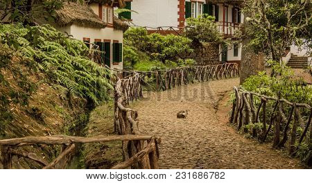 Queimadas - Houses At Levada . Tropical Forest In The Mountains On Madeira Island