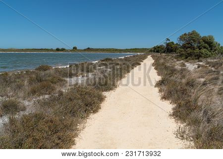 Trekking Trail Close To Lake Thetis In The Nambung National Park, Western Australia