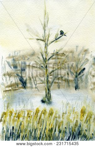 A Bird Sitting On A Tree. Misty Winter Day With Warm Skylight. Reeds Grow In The Foreground. Waterco