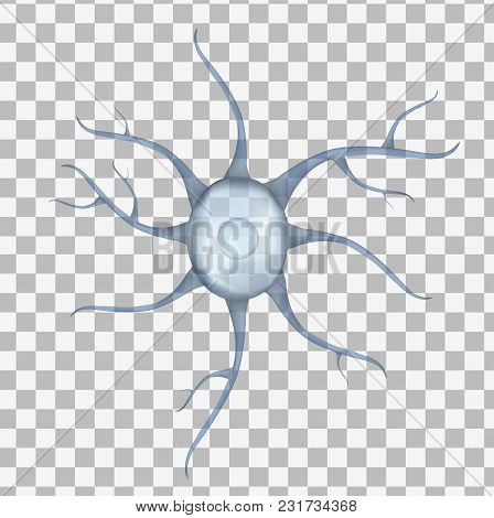 3d Blue Human Neuron Isolated On Transparent Background. Realistic Vector Illustration. Template For