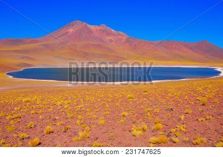 View Of Miniques Lagoon. Atacama Desert. Chile.