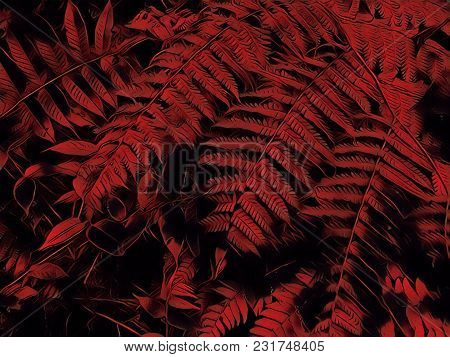 Fern Leaf Duochrome Digital Illustration. Red And Black Tropical Leaf. Floral Wedding Background. Su