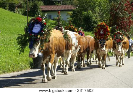 Almabtrieb